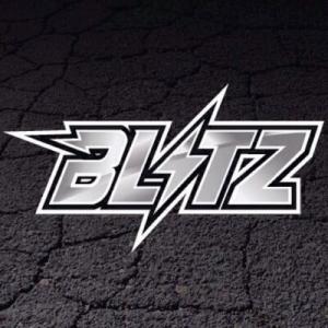 Project Blitz Free Shipping Code
